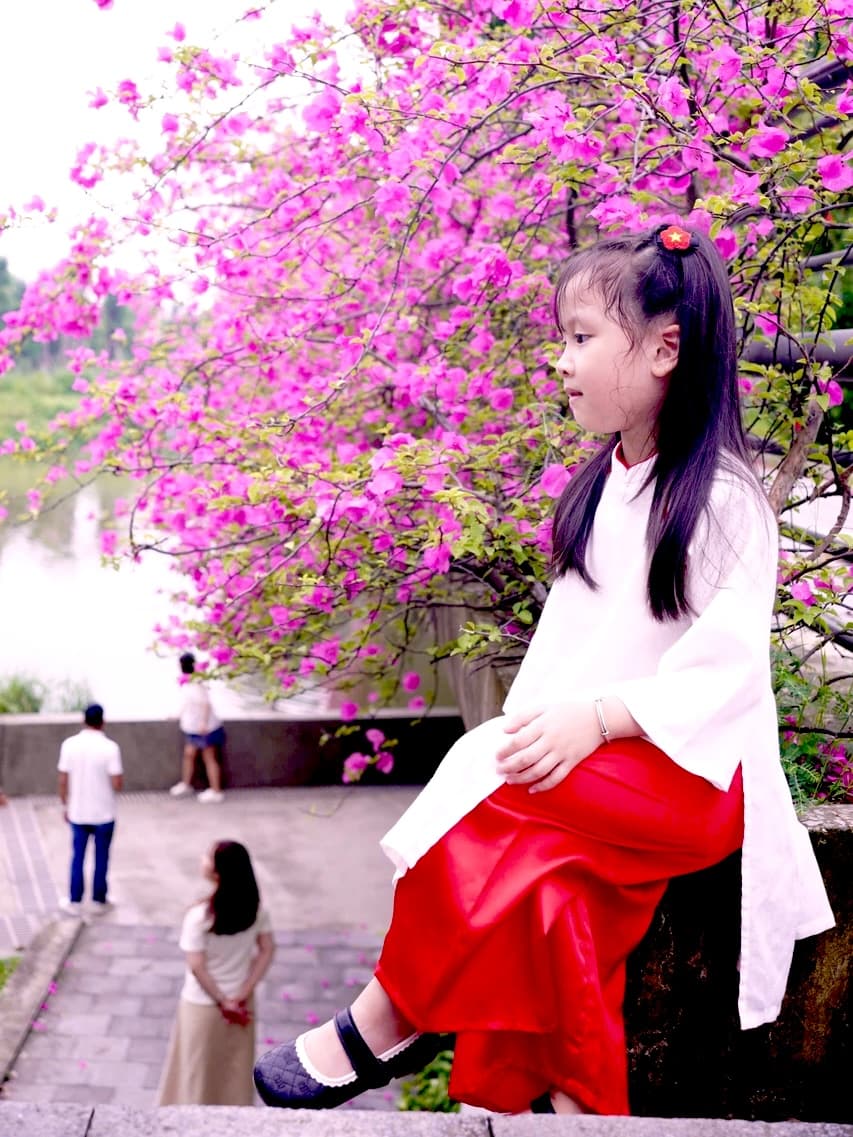 áo dài việt nam